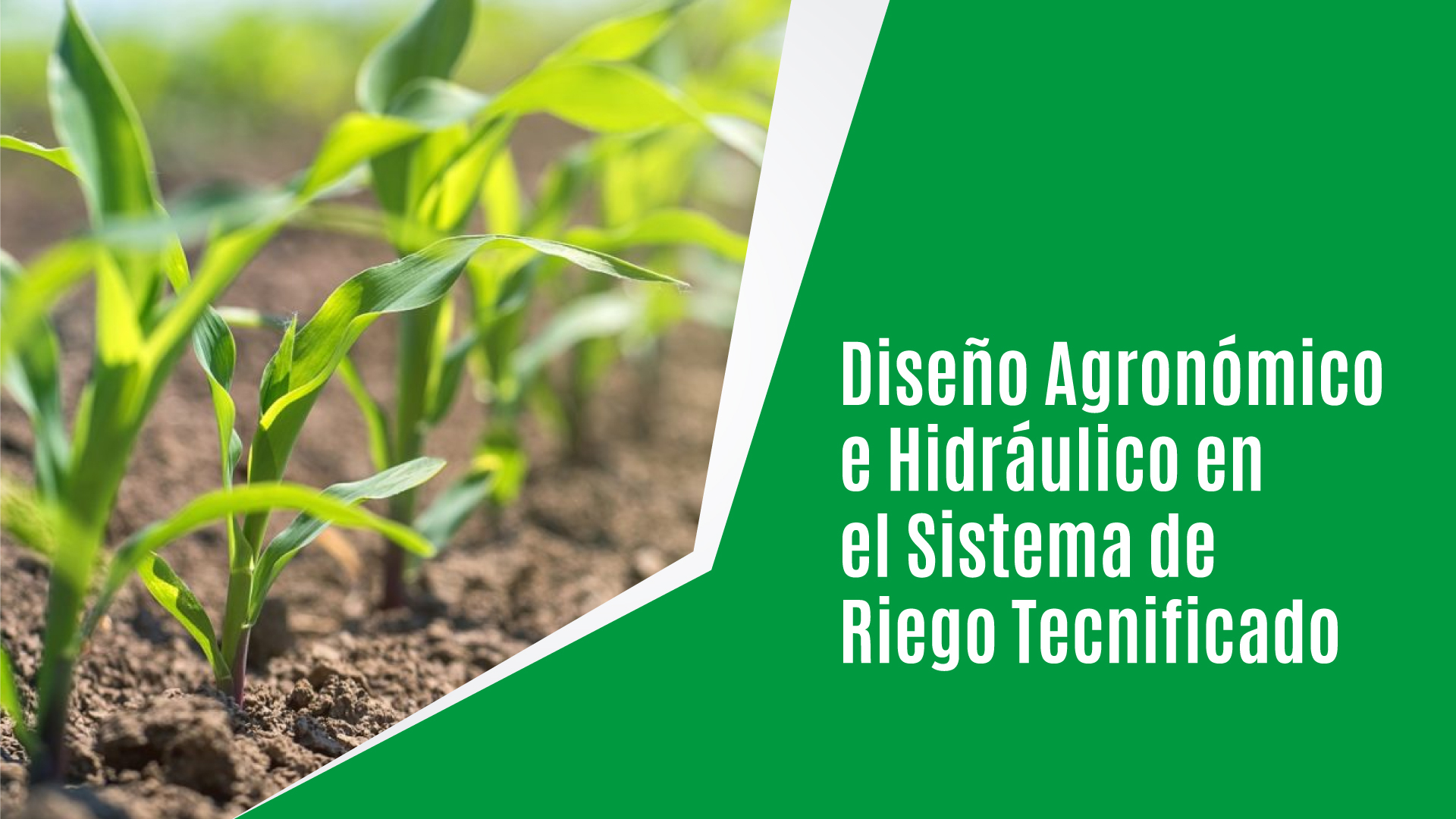 diseno-agro