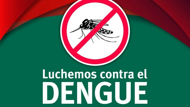 Lucha Contra el Dengue