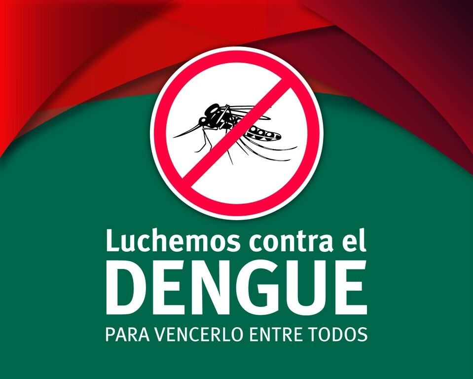 Lucha Contra el Dengue