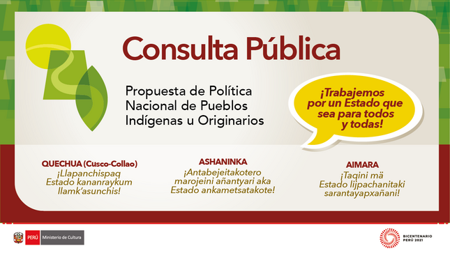 Consulta pública