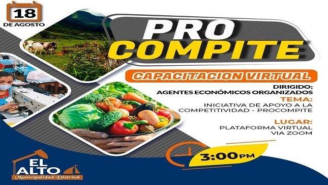 Capacitación virtual - PROCOMPITE