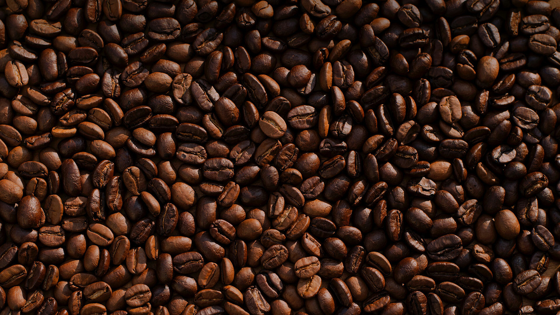 Bases para la venta de café pergamino producido en la ex hacienda fundo Potrero