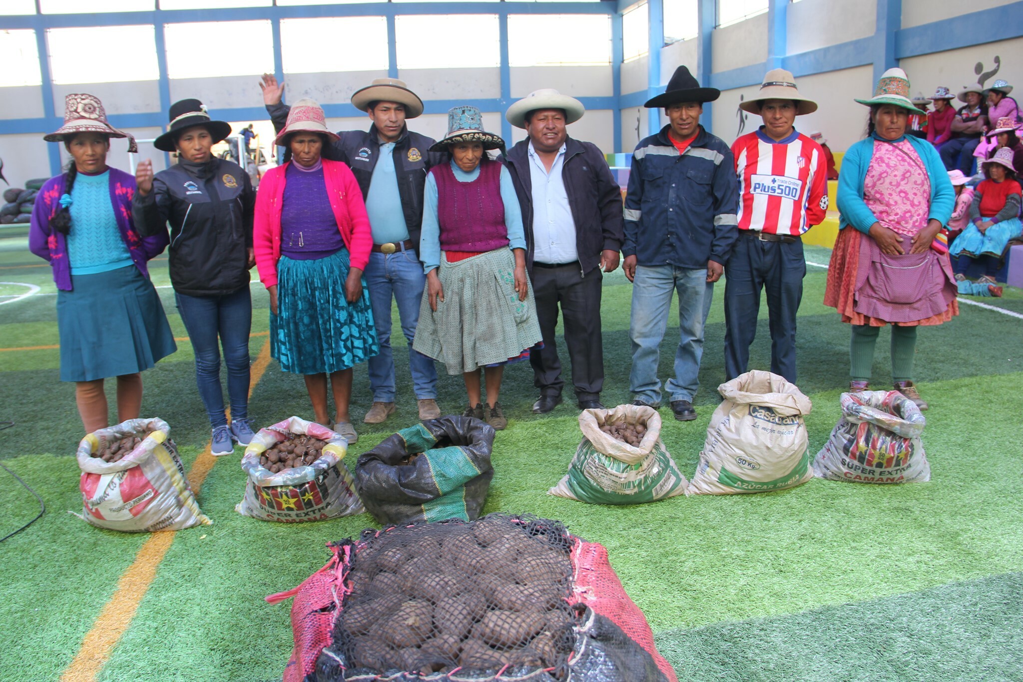 Autoridad Municipal Entrega Más De Tres Toneladas De Semilla De Papa A La Comunidad Campesina De Cconchaccollo Del Distrito De Chamaca