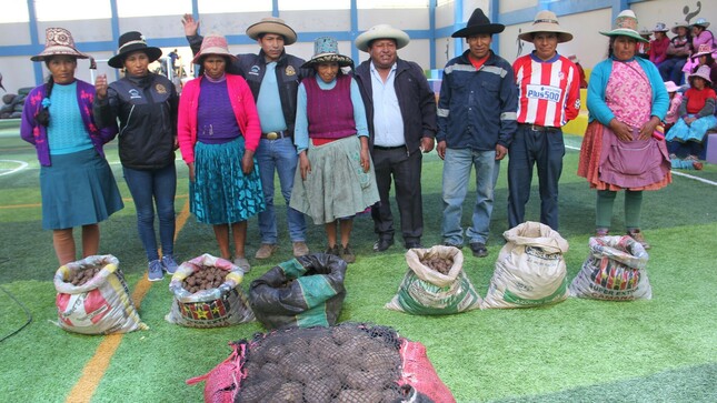 Autoridad Municipal Entrega Más De Tres Toneladas De Semilla De Papa A La Comunidad Campesina De Cconchaccollo Del Distrito De Chamaca