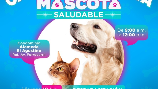 Este viernes 19 y sábado 20 de noviembre podrán mantener a sus perritos y gatitos protegidos y sanos de manera #gratuita en Condominios Alameda El Agustino, cerca de la Av. Ferrocarril.

¡Tú alcalde Víctor Salcedo promoviendo la tenencia responsable de mascotas! 🐾

#UnaGestiónConAlma
#JuntosHacemosElCambio