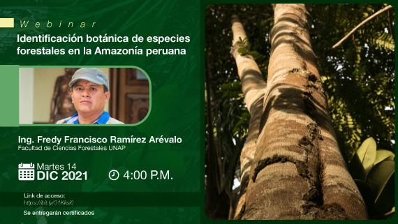 Webinar Identificación Botánica