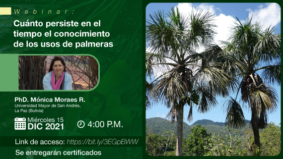 Seminario Conocimiento de Palmeras