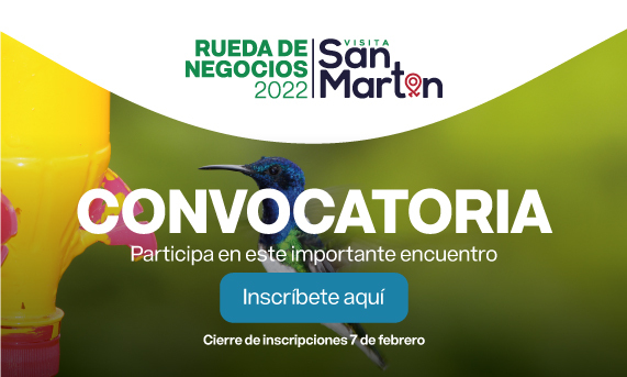 Rueda de Negocios "Visita San Martín 2022"