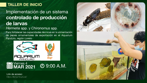 Invitación a taller de producción de larvas