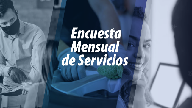 Encuesta Mensual de Servicios 2024