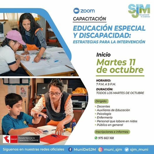 EDUCACIÓN ESPECIAL Y DISCAPACIDAD: Estrategias para la intervención