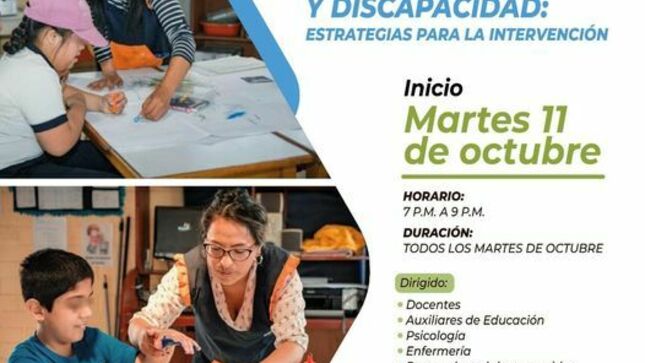 EDUCACIÓN ESPECIAL Y DISCAPACIDAD: Estrategias para la intervención
