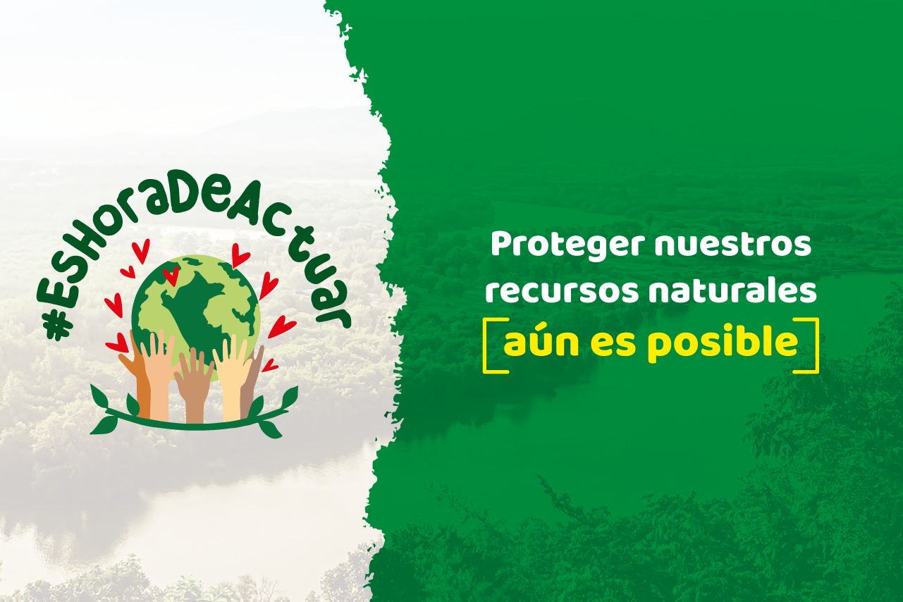 Campaña sobre delitos ambientales