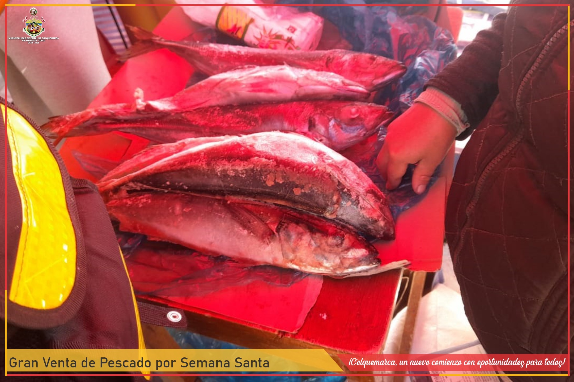 Municipalidad distrital de colquemarca en coordinación con el programa nacional “ a comer pescado” del ministerio de de la producción, realizaron exitosa venta de pescado por semana santa
