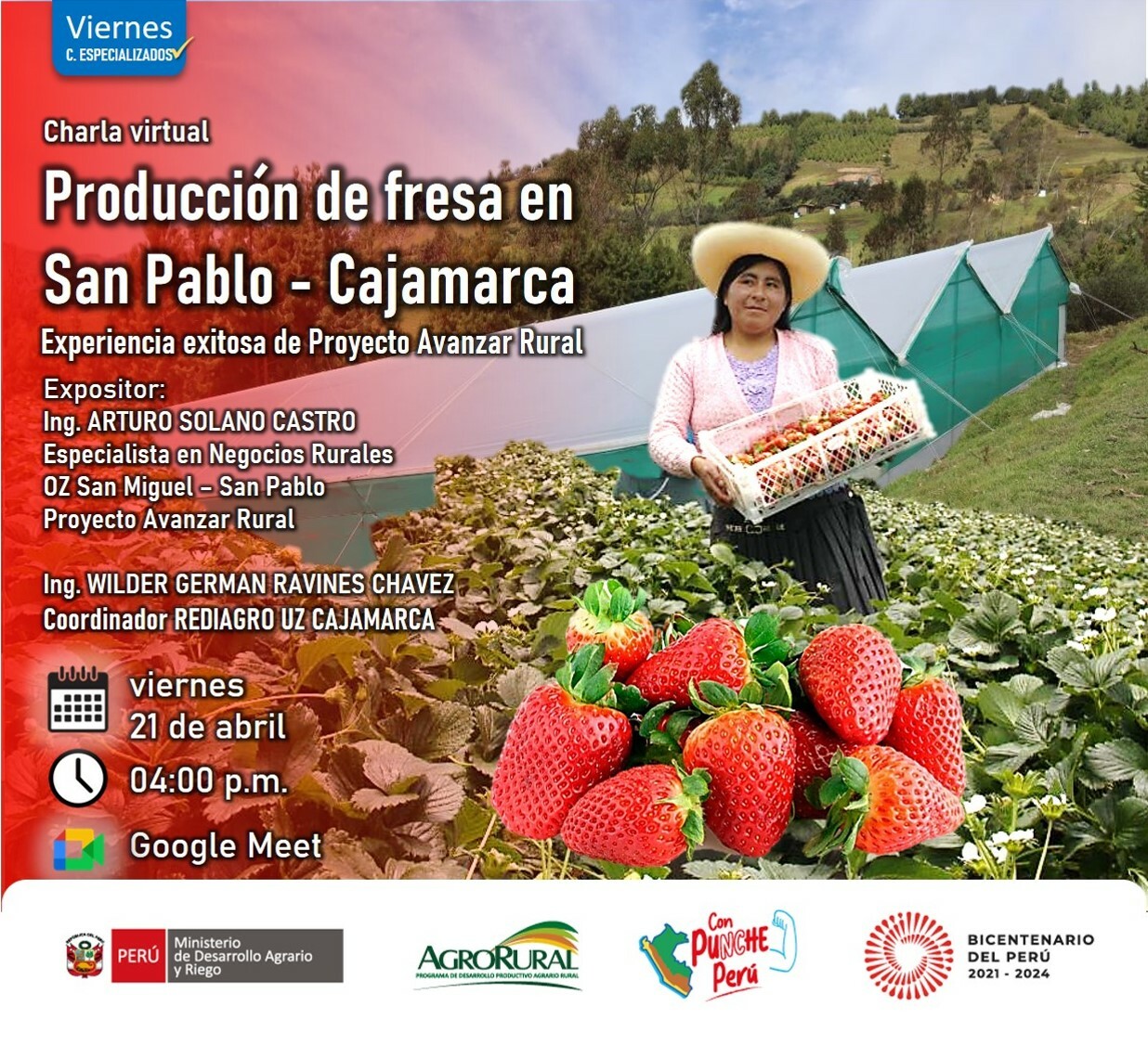 Experiencia exitosa de Avanzar Rural Producción de fresa en la sierra
