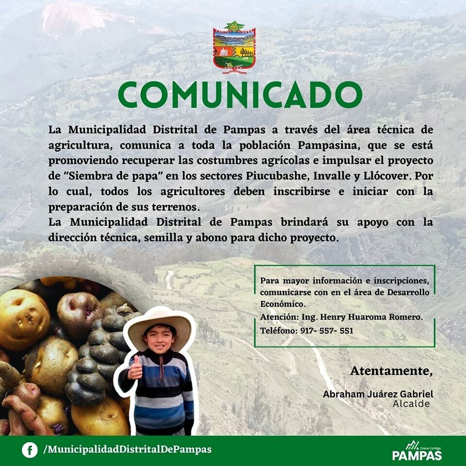 la municipalidad distrital de pampas a través de del área técnica municipal de agricultura, comunica a toda la población Pampasina, que se está promoviendo la recuperar las costumbres agrícolas e impulsar el proyecto de “siembra de papa”.
