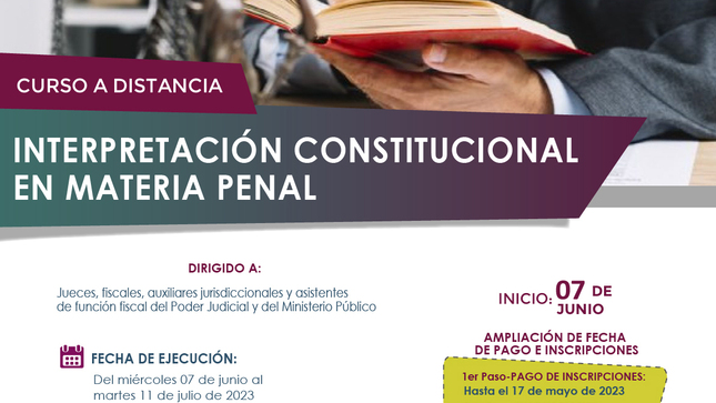 Curso a distancia “Interpretación Constitucional en Materia Penal”