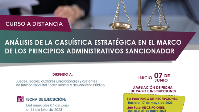 Curso a distancia: Análisis de la casuística estratégica en el marco de los principios administrativos sancionador