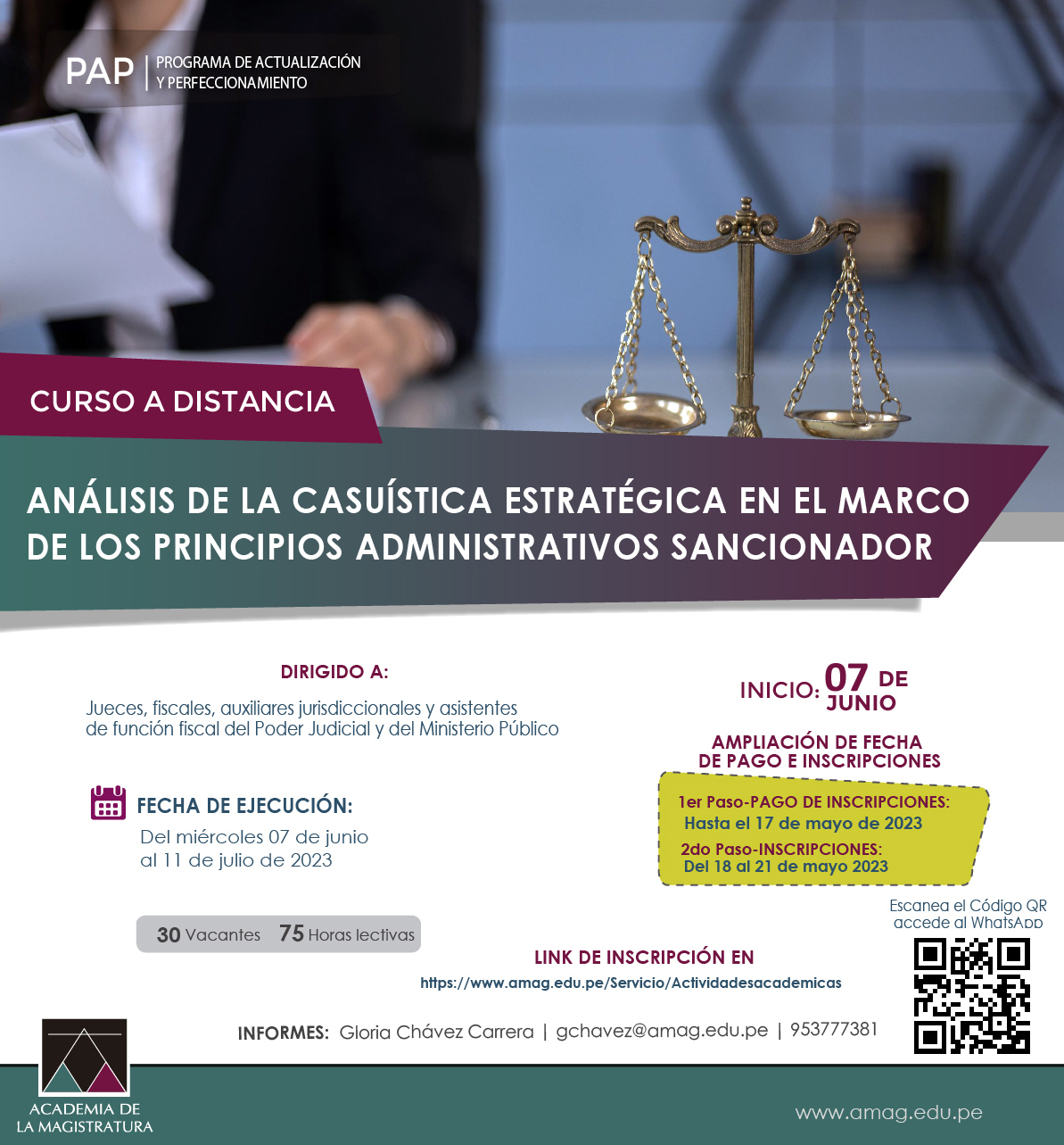 Curso a distancia: Análisis de la casuística estratégica en el marco de los principios administrativos sancionador