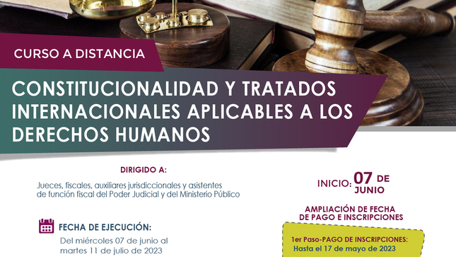 Curso a distancia “Constitucionalidad y Tratados Internacionales aplicables a los Derechos Humanos”