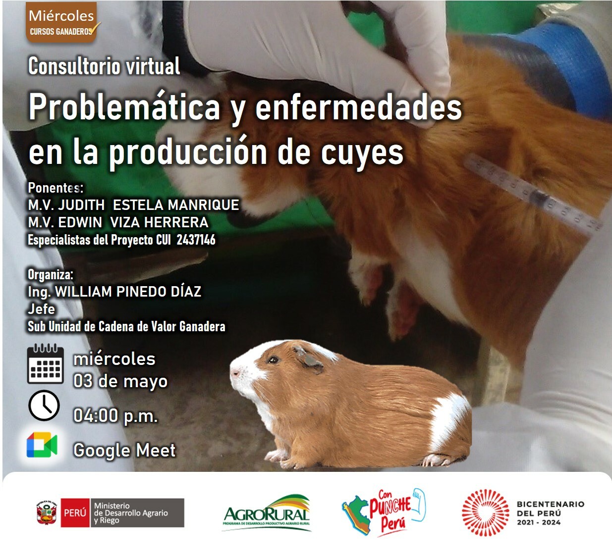Consultorio virtual: Problemática y Enfermedades en la Producción de cuyes