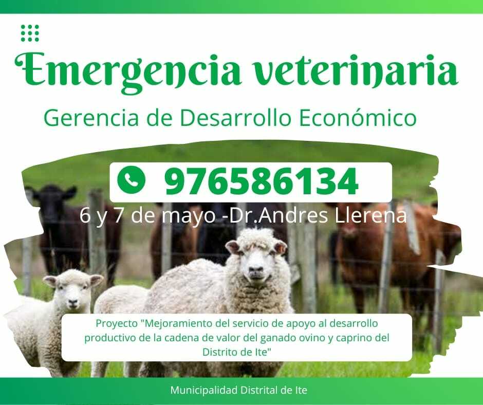 Emergencia Veterinaria