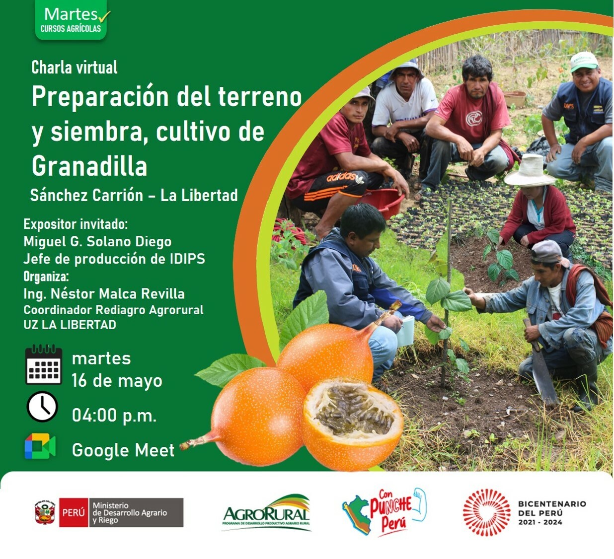 Preparación del terreno y siembra del cultivo de la Granadilla