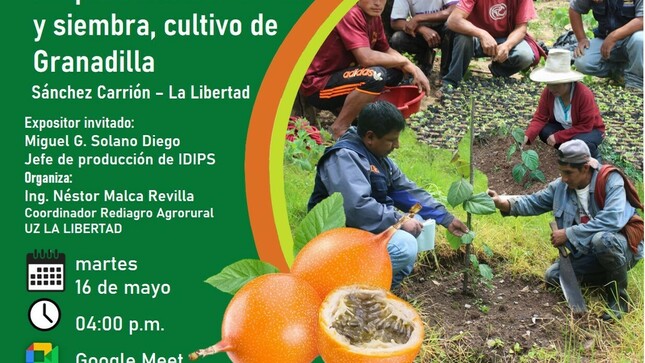 Preparación del terreno y siembra del cultivo de la Granadilla