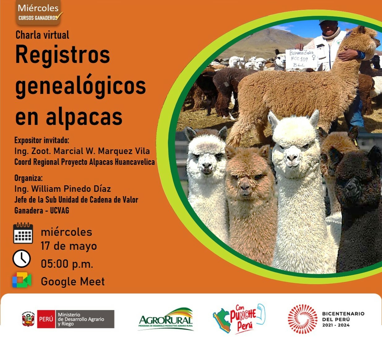 Registros genealógicos en alpacas