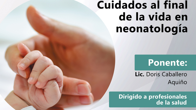 Telecapacitación dirigida a profesionales de la salud.