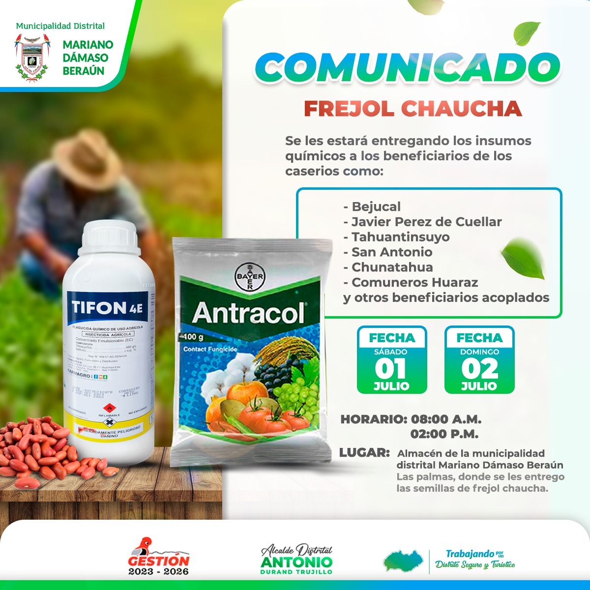 Proyecto Frejol Chaucha