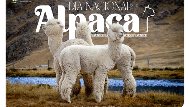 La Municipalidad Provincial de Carabaya - Macusani, hace extensiva la invitación a la población en general a ser parte del "Día Nacional de la Alpaca", un reconocimiento a nuestros productores alpaqueros.
