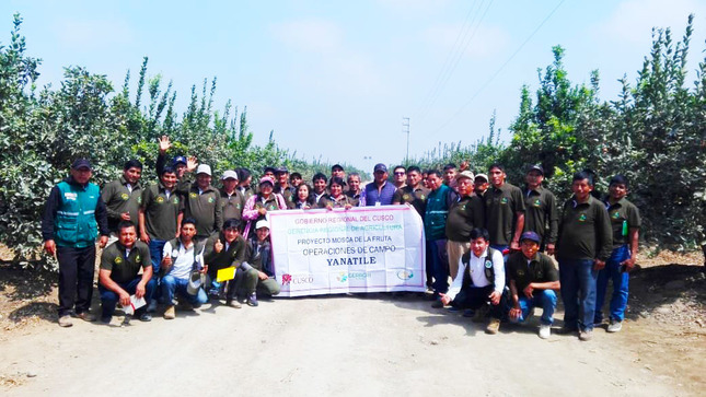 Productores citrícolas de Yanatile en pasantía en Ica