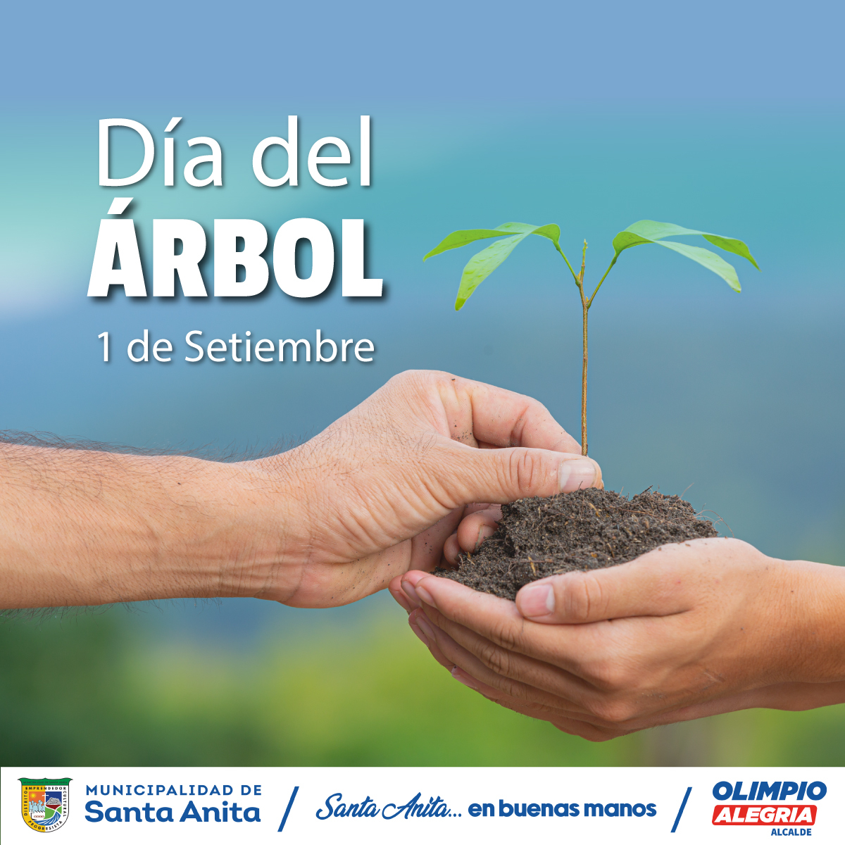 Día del ÁRBOL