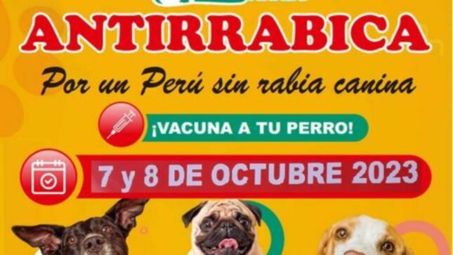 La Red de Salud Dos de Mayo a través de la Estrategia Sanitaria Zoonosis, invita a la población a acudir con sus mascotas a la campaña de Vacunación Antirrábica Gratuita ❞𝗩𝗔𝗡𝗖𝗔𝗡❞, programada a llevarse a cabo el 7 y 8 de octubre en los diferentes establecimientos de salud a nivel nacional desde las 8:00 a.m. a 2:00 p.m.
👉Esta campaña tiene como objetivo evitar la rabia en canes y otros animales susceptibles, así como su transmisión al ser humano.
🐶Protejamos a nuestras mascotas y construyamos una provincia libre de rabia. ¡Juntos podemos lograrlo! 🐾