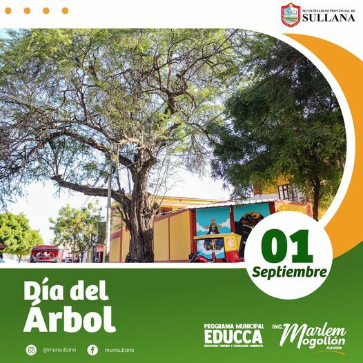 Dia Del Arbol