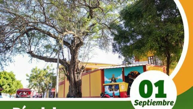 Dia Del Arbol