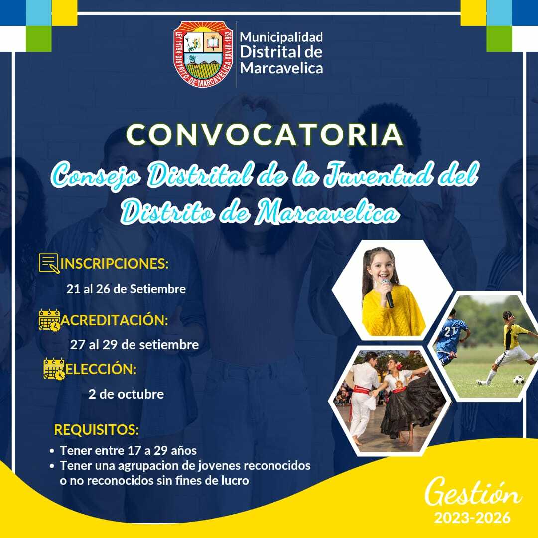 Consejo Distrital de la Juventud