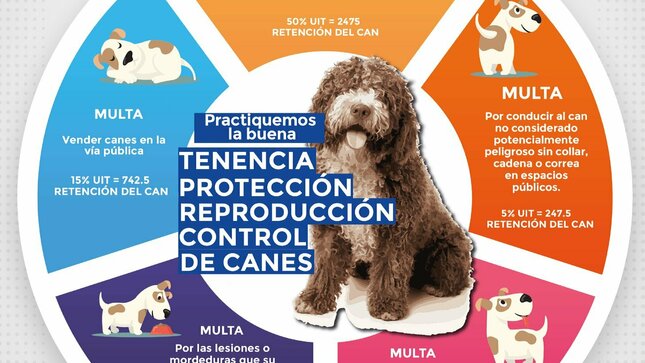 Ordenanza Municipal 𝐍° 𝟏𝟐-𝟐𝟎𝟏𝟗-𝐌𝐃𝐘-𝐏𝐀𝐒𝐂𝐎, que regula la 𝐓𝐄𝐍𝐄𝐍𝐂𝐈𝐀, 𝐏𝐑𝐎𝐓𝐄𝐂𝐂𝐈𝐎́𝐍, 𝐑𝐄𝐏𝐑𝐎𝐃𝐔𝐂𝐂𝐈𝐎́𝐍 𝐲 𝐂𝐎𝐍𝐓𝐑𝐎𝐋 de 𝐂𝐀𝐍𝐄𝐒 en el distrito de Yanacancha.