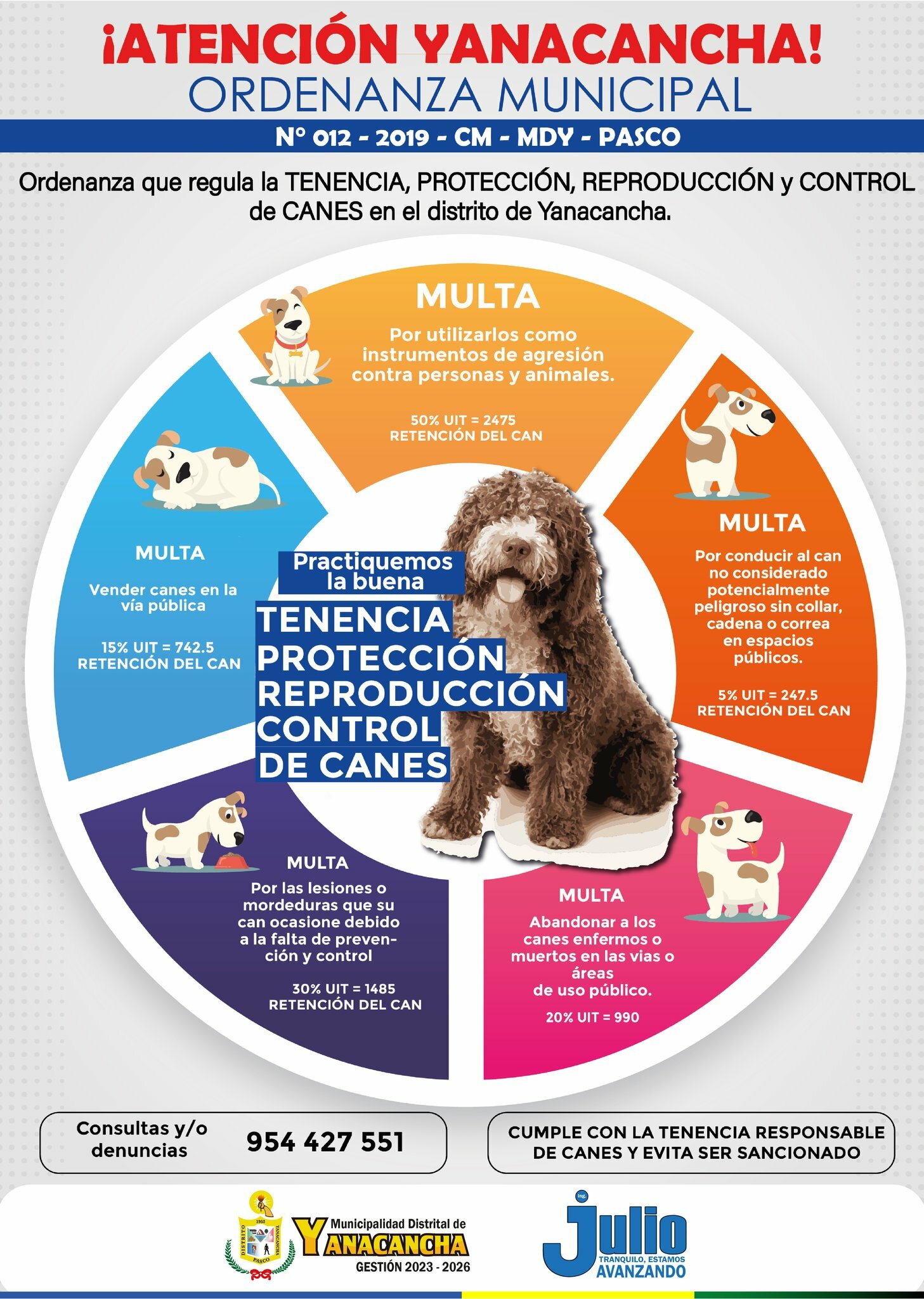 Ordenanza Municipal πΒ° ππ-ππππ-πππ-πππππ, que regula la ππππππππ, πππππππππΜπ, πππππππππππΜπ π² πππππππ de πππππ en el distrito de Yanacancha.