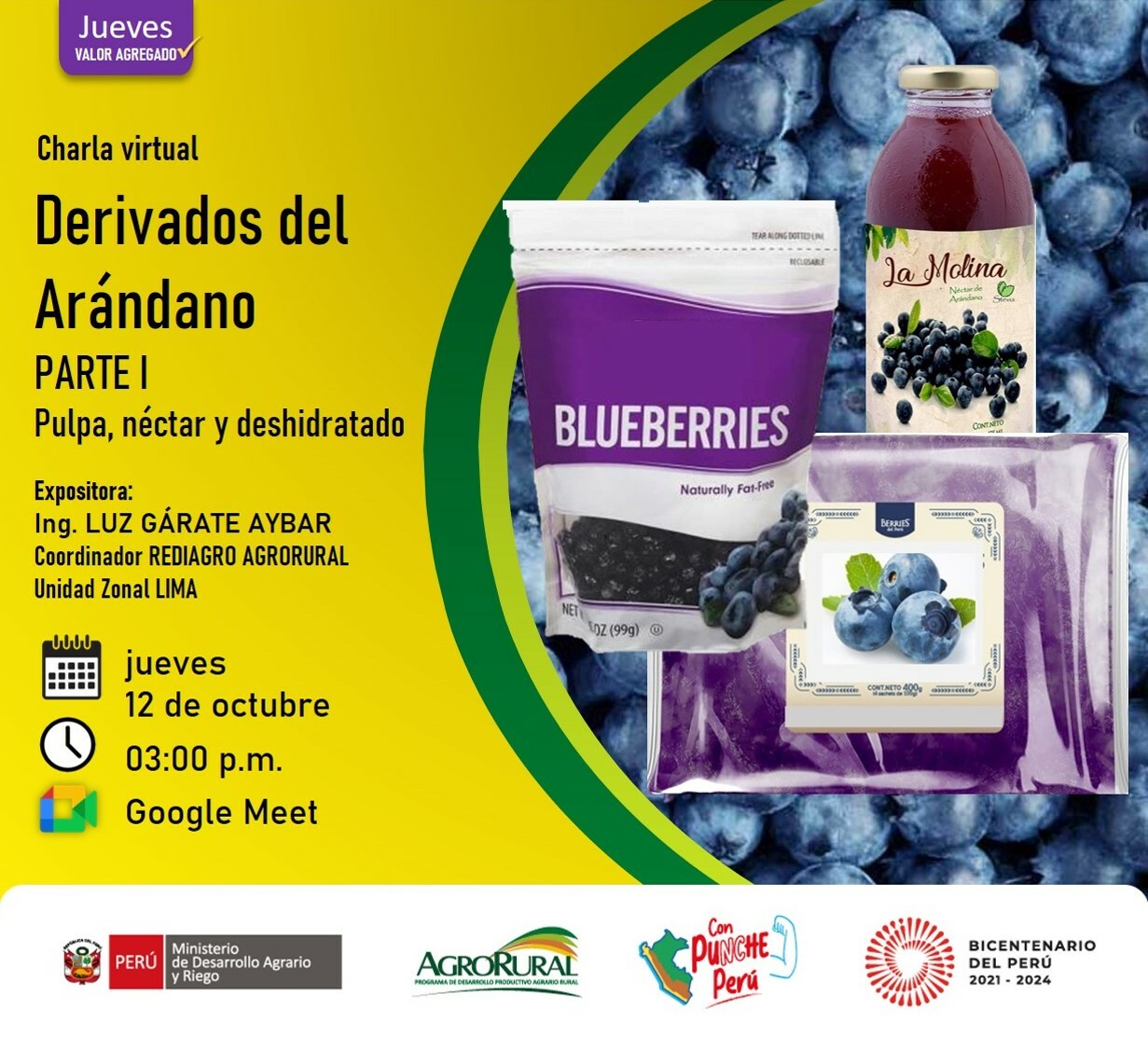 Derivados del Arándano Parte I