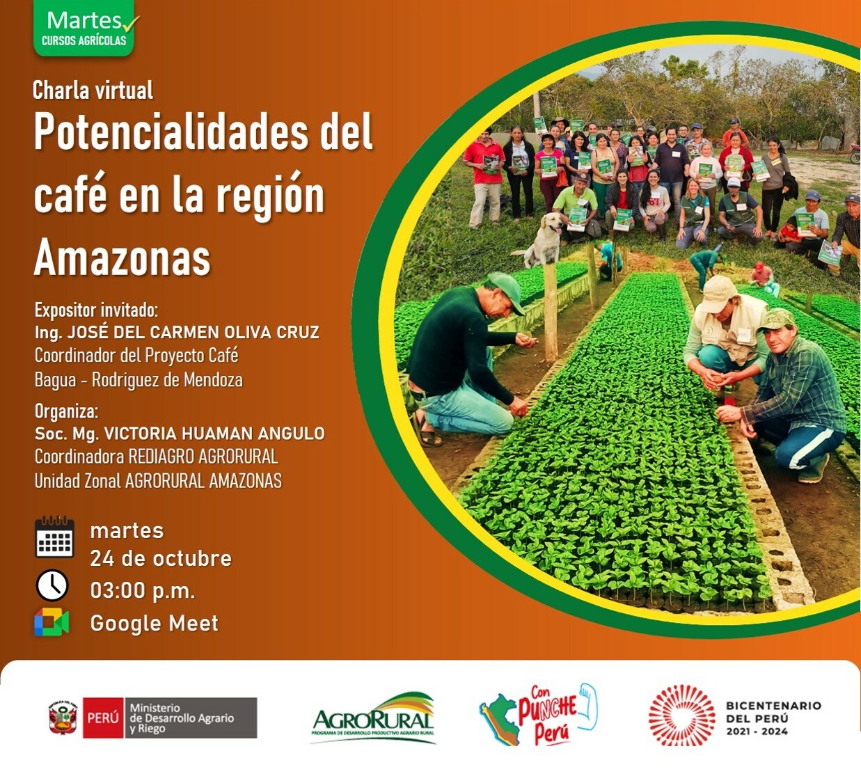 Potencialidades del café en la región amazonas