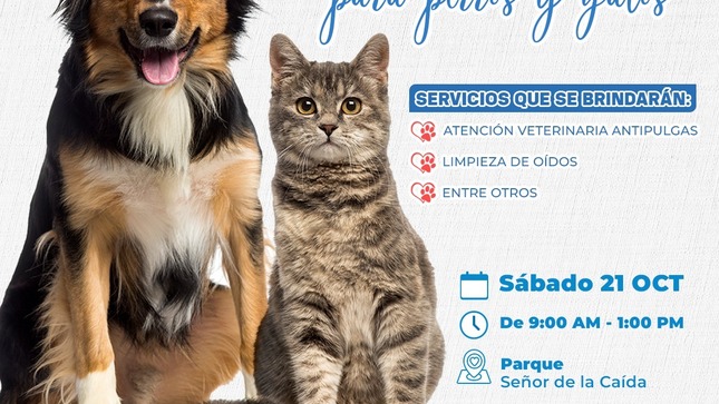 Campaña de Desparasitación Canina y Felina 2023