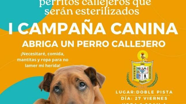 Participemos de la campaña: "Abriga a la mascota de la calle"