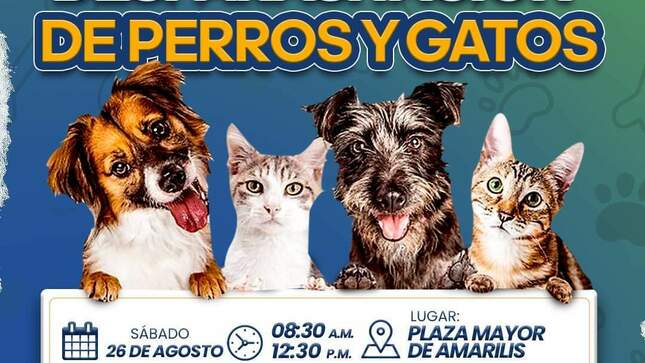 La  Municipalidad Distrital de Amarilis  realizará la campaña gratuita de desparasitación para perros y gatos con el objetivo de velar por el bienestar de las mascotas
