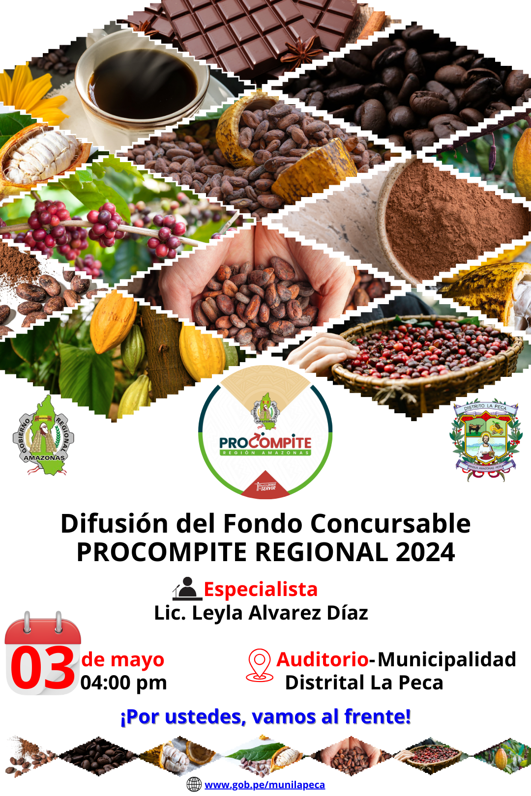 Difusión de Fondo Concursable PROCOMPITE REGIONAL 2024