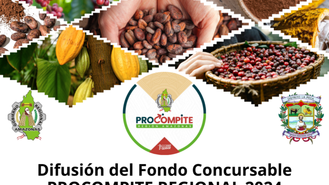 Difusión de Fondo Concursable PROCOMPITE REGIONAL 2024