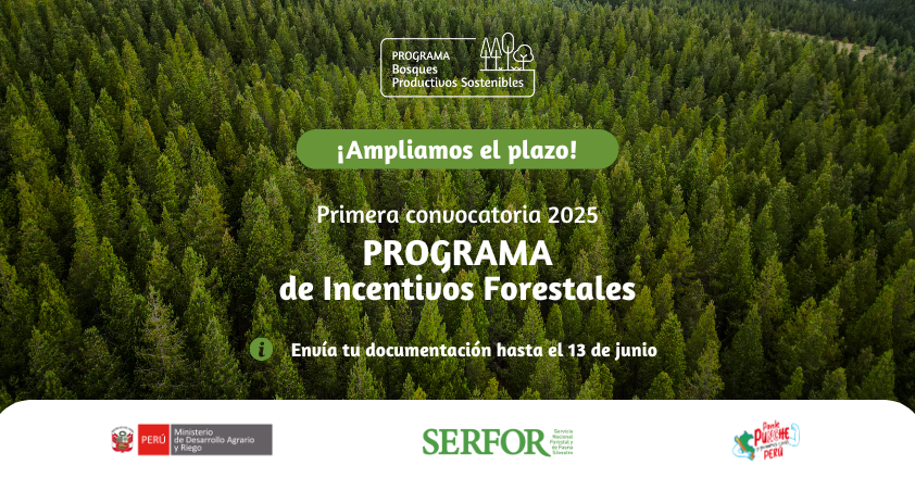 Programa de Incentivos Forestales 2025