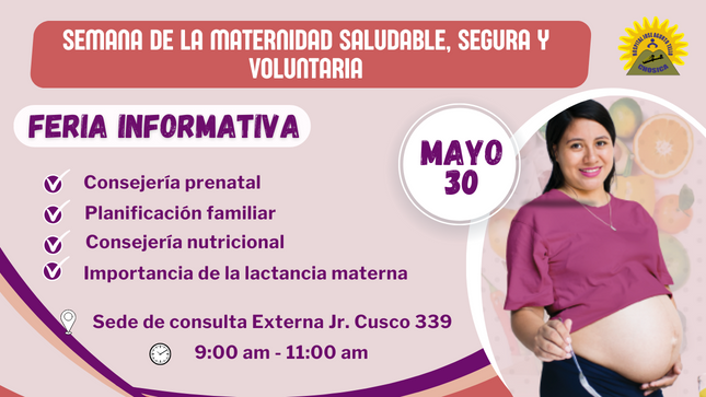 Maternidad Saludable