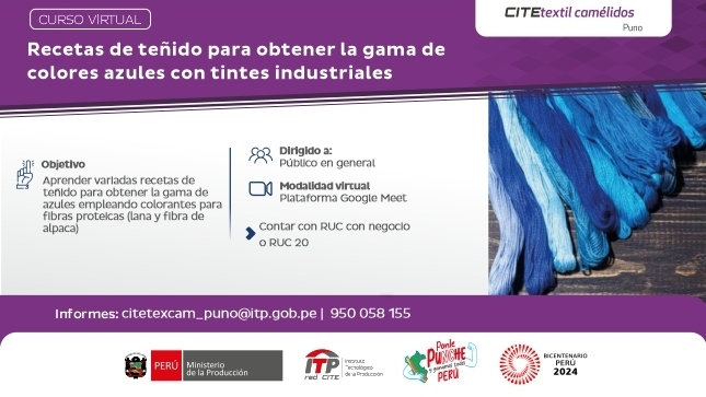Curso Virtual: Recetas de teñido para obtener la gama de colores azules con tintes industriales